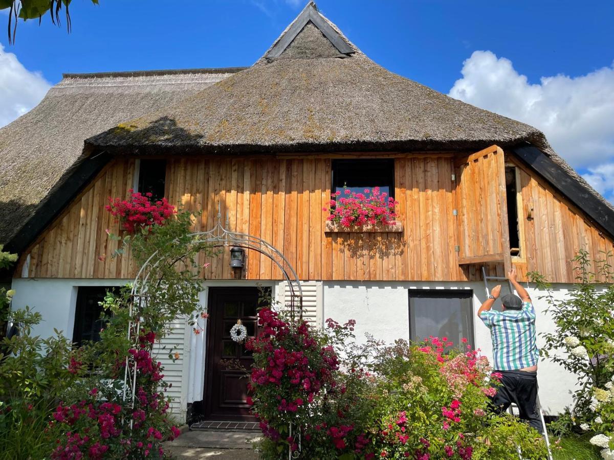 Tiny House Ostsee # Naturwerk Pruchten Εξωτερικό φωτογραφία