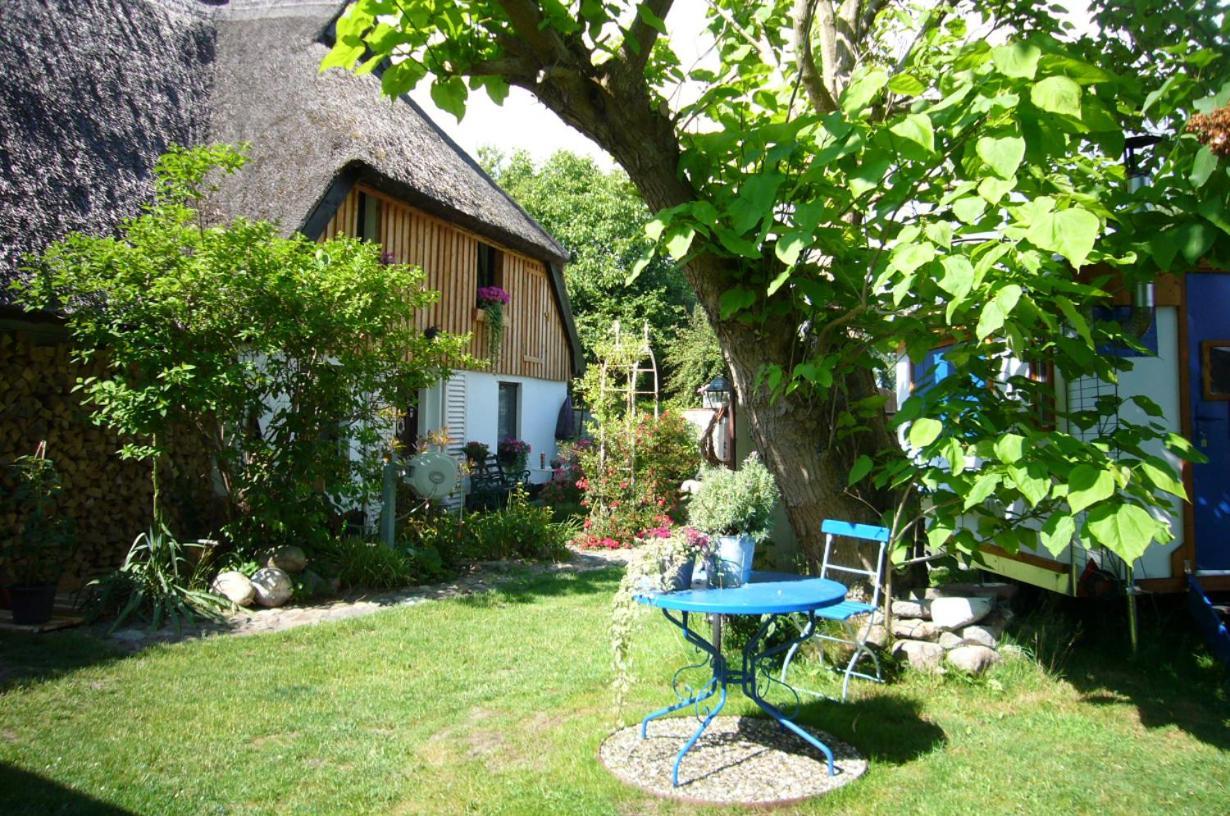Tiny House Ostsee # Naturwerk Pruchten Εξωτερικό φωτογραφία